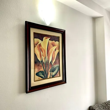 Apartment Myhome *